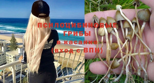 марихуана Новодвинск