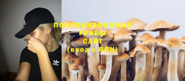 спайс Няндома