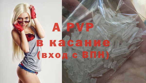 спайс Няндома