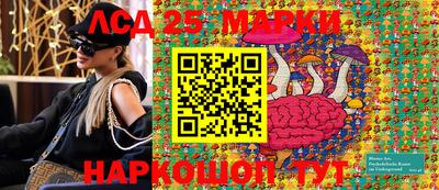 амф Камышлов