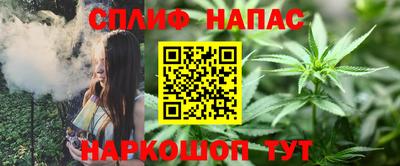 шишки Бийск