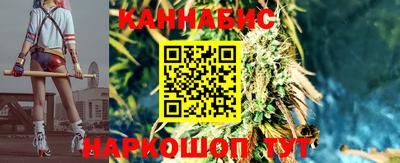 крисы Беслан