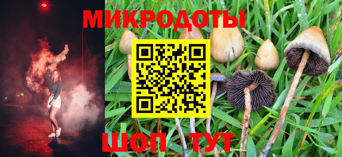 Родники  Псилоцибиновые грибы Psilocybe  Вход с VPN 